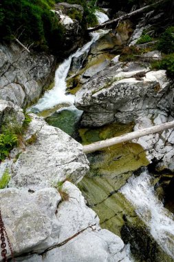Yüksek Tatra dağları manzaraları, ormanlar, ağaçlar, kayalar ve bitkiler, yaz zamanı                               