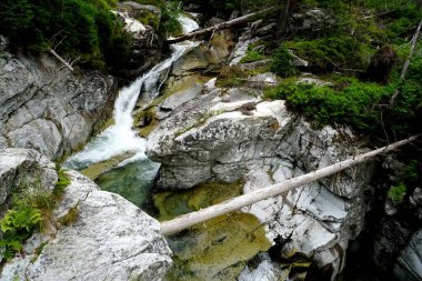 Yüksek Tatra dağları manzaraları, ormanlar, ağaçlar, kayalar ve bitkiler, yaz zamanı                               