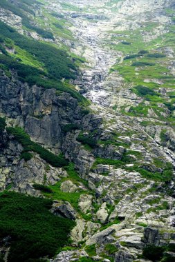           Yüksek Tatra dağları manzaraları, ormanlar, ağaçlar, kayalar ve bitkiler, yaz zamanı                    