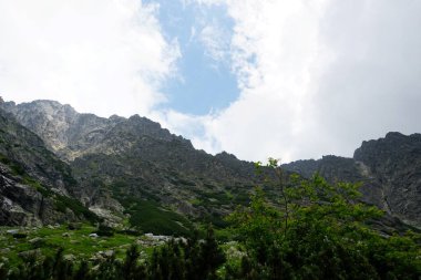  Yüksek Tatra dağları manzaraları, ormanlar, ağaçlar, kayalar ve bitkiler, yaz zamanı                              