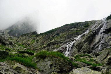  Yüksek Tatra dağları manzaraları, ormanlar, ağaçlar, kayalar ve bitkiler, yaz zamanı                              