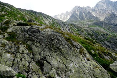 Yüksek Tatra dağları manzaraları, ormanlar, ağaçlar, kayalar ve bitkiler, yaz zamanı                              