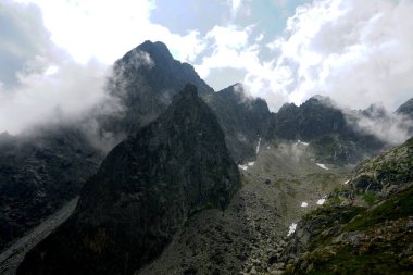  Yüksek Tatra dağları manzaraları, ormanlar, ağaçlar, kayalar ve bitkiler, yaz zamanı                              