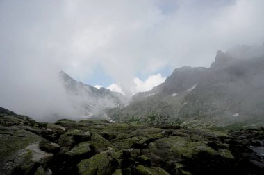          Yüksek Tatra dağları manzaraları, ormanlar, ağaçlar, kayalar ve bitkiler, yaz zamanı                      