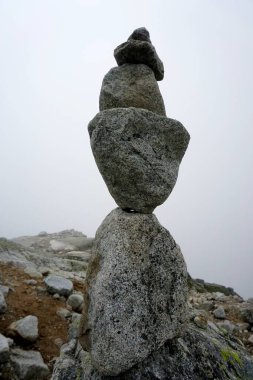         Yüksek Tatra dağları manzaraları, ormanlar, ağaçlar, kayalar ve bitkiler, yaz zamanı                      