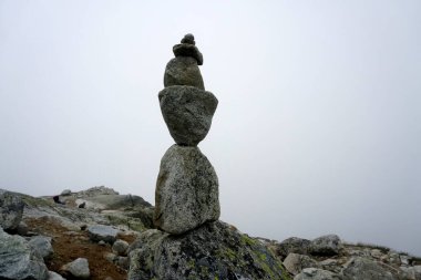          Yüksek Tatra dağları manzaraları, ormanlar, ağaçlar, kayalar ve bitkiler, yaz zamanı                      