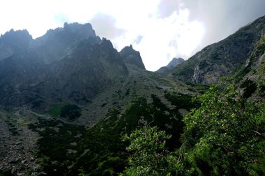          Yüksek Tatra dağları manzaraları, ormanlar, ağaçlar, kayalar ve bitkiler, yaz zamanı                      