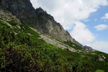          Yüksek Tatra dağları manzaraları, ormanlar, ağaçlar, kayalar ve bitkiler, yaz zamanı                      