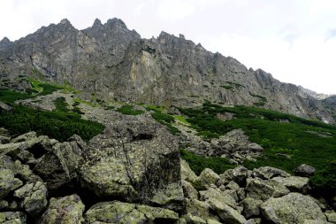          Yüksek Tatra dağları manzaraları, ormanlar, ağaçlar, kayalar ve bitkiler, yaz zamanı                      