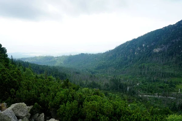 Alte Montagne Tatra Paesaggi Foreste Alberi Rocce Piante Ora Esatta — Foto Stock