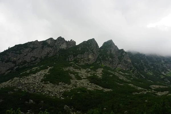 Alte Montagne Tatra Paesaggi Foreste Alberi Rocce Piante Ora Esatta — Foto Stock