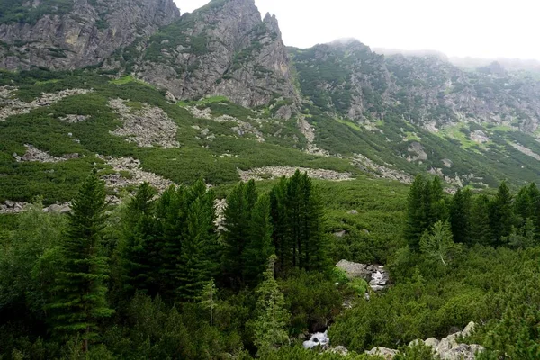 Tinggi Tatra Pegunungan Lanskap Hutan Pohon Batu Dan Tanaman Waktu — Stok Foto