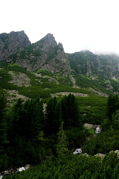 Hoge Tatra Bergen Landschappen Bossen Bomen Rotsen Planten Zomertijd — Stockfoto