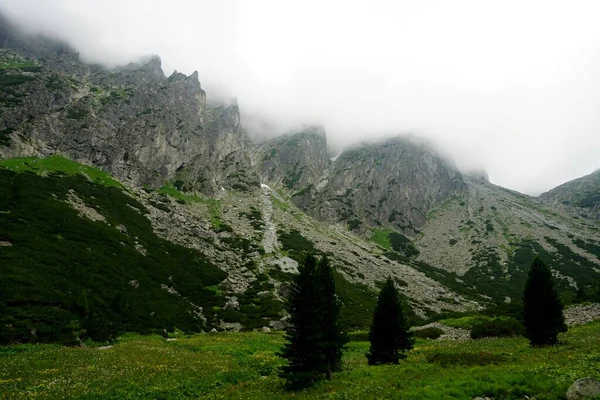 Ψηλά Βουνά Tatra Τοπία Δάση Δέντρα Βράχους Και Φυτά Θερινή — Φωτογραφία Αρχείου