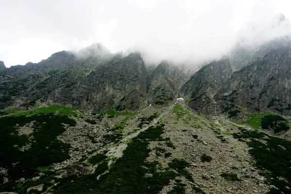 Ψηλά Βουνά Tatra Τοπία Δάση Δέντρα Βράχους Και Φυτά Θερινή — Φωτογραφία Αρχείου