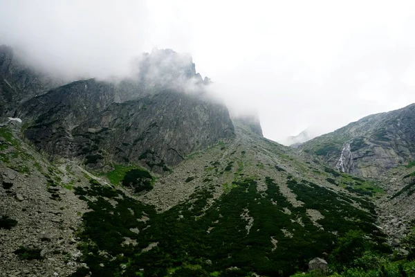 Ψηλά Βουνά Tatra Τοπία Δάση Δέντρα Βράχους Και Φυτά Θερινή — Φωτογραφία Αρχείου