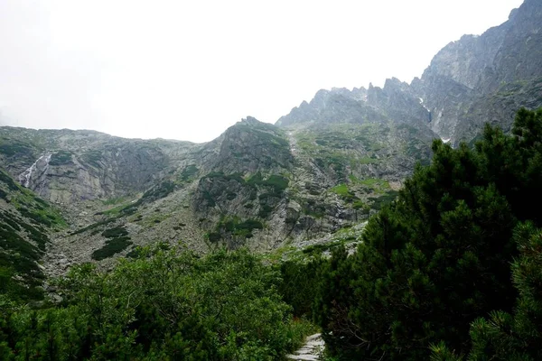 Alto Tatra Montañas Paisajes Bosques Árboles Rocas Plantas Hora Verano —  Fotos de Stock