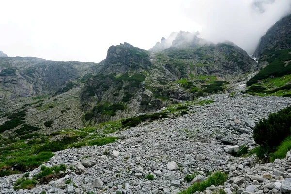 Alto Tatra Montañas Paisajes Bosques Árboles Rocas Plantas Hora Verano —  Fotos de Stock