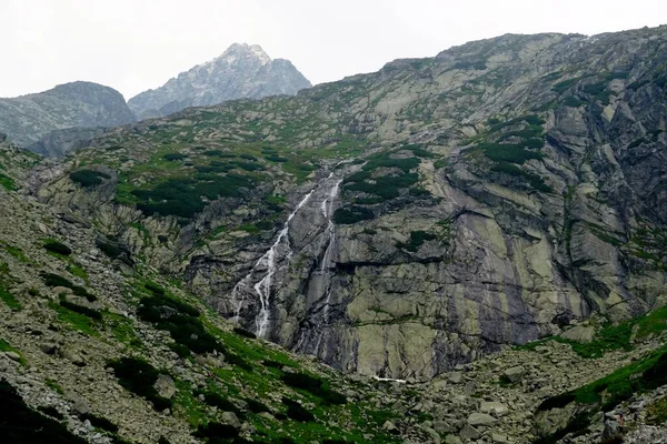 Ψηλά Βουνά Tatra Τοπία Δάση Δέντρα Βράχους Και Φυτά Θερινή — Φωτογραφία Αρχείου