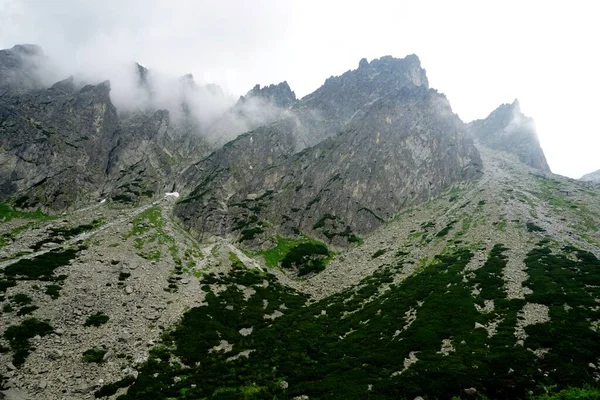 Високі Татранські Гори Пейзажі Ліси Дерева Скелі Рослини Літній Час — стокове фото