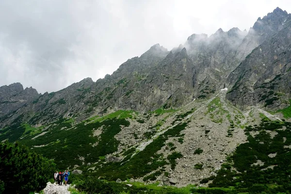 Tinggi Tatra Pegunungan Lanskap Hutan Pohon Batu Dan Tanaman Waktu — Stok Foto
