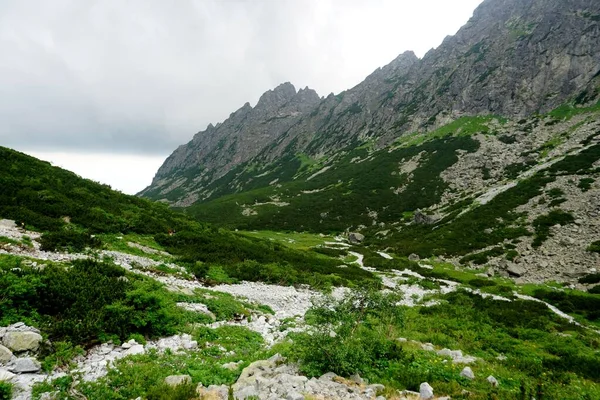 Hautes Montagnes Tatra Paysages Forêts Arbres Rochers Plantes Heure Été — Photo