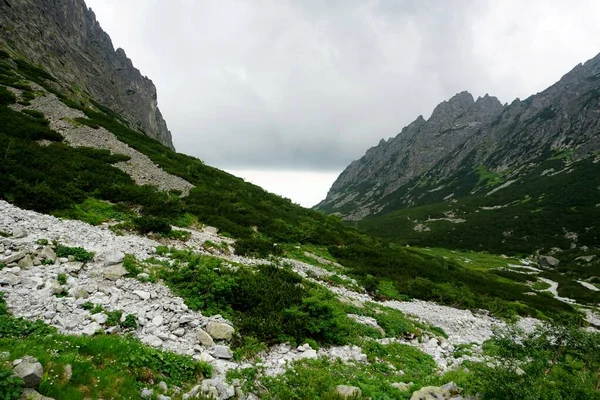 Alto Tatra Montañas Paisajes Bosques Árboles Rocas Plantas Hora Verano — Foto de Stock