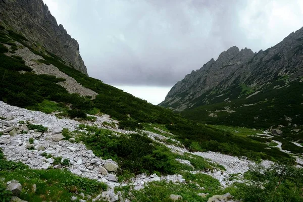 Hohe Tatra Landschaften Wälder Bäume Felsen Und Pflanzen Sommerzeit — Stockfoto