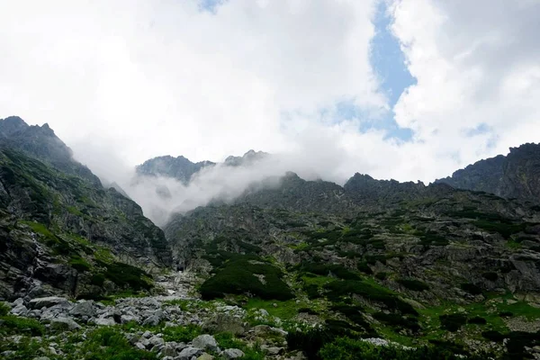 高タトラ山の風景 岩や植物 夏時間 — ストック写真