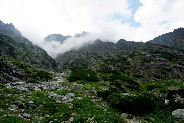 塔特拉山高山景观 岩石和植物 — 图库照片