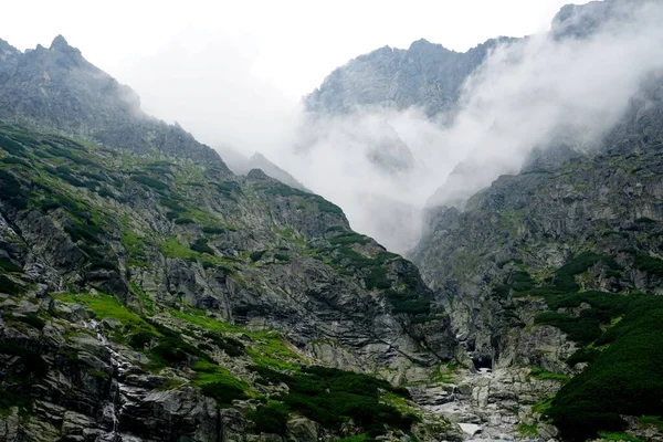 Hautes Montagnes Tatra Paysages Forêts Arbres Rochers Plantes Heure Été — Photo