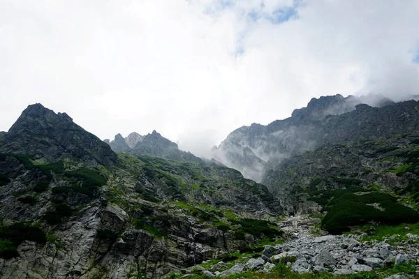 Altas Montanhas Tatra Paisagens Florestas Árvores Rochas Plantas Hora Verão — Fotografia de Stock