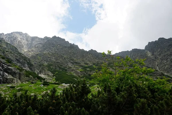 高タトラ山の風景 岩や植物 夏時間 — ストック写真