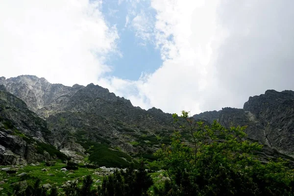 Hautes Montagnes Tatra Paysages Forêts Arbres Rochers Plantes Heure Été — Photo