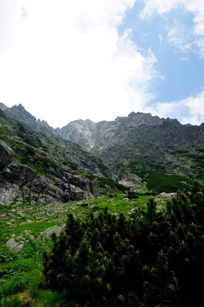 Hohe Tatra Landschaften Wälder Bäume Felsen Und Pflanzen Sommerzeit — Stockfoto