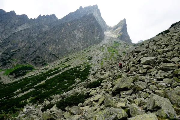 Alto Tatra Montañas Paisajes Bosques Árboles Rocas Plantas Hora Verano —  Fotos de Stock