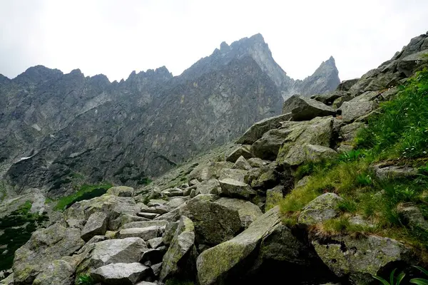 Altas Montanhas Tatra Paisagens Florestas Árvores Rochas Plantas Hora Verão — Fotografia de Stock