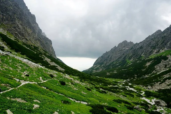 塔特拉山高山景观 岩石和植物 — 图库照片