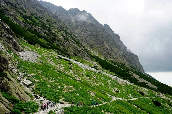 Alto Tatra Montañas Paisajes Bosques Árboles Rocas Plantas Hora Verano —  Fotos de Stock
