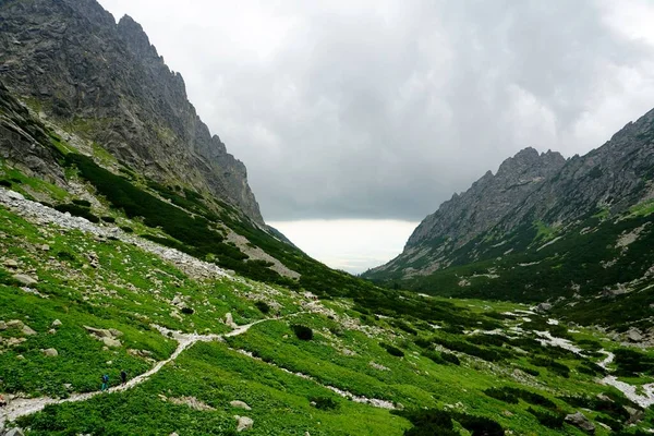 高タトラ山の風景 岩や植物 夏時間 — ストック写真