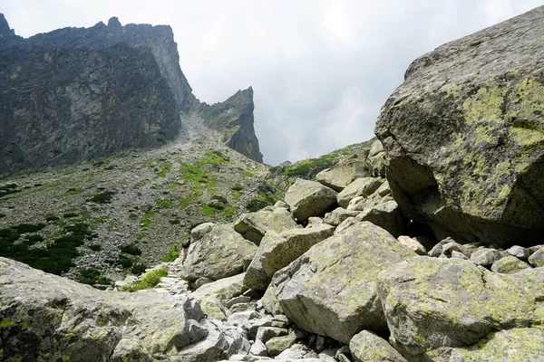 Hoge Tatra Bergen Landschappen Bossen Bomen Rotsen Planten Zomertijd — Stockfoto