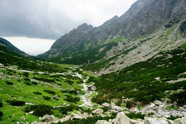 Alto Tatra Montañas Paisajes Bosques Árboles Rocas Plantas Hora Verano — Foto de Stock