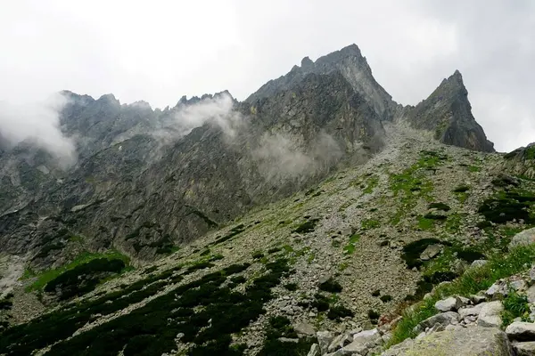 Alto Tatra Montañas Paisajes Bosques Árboles Rocas Plantas Hora Verano — Foto de Stock