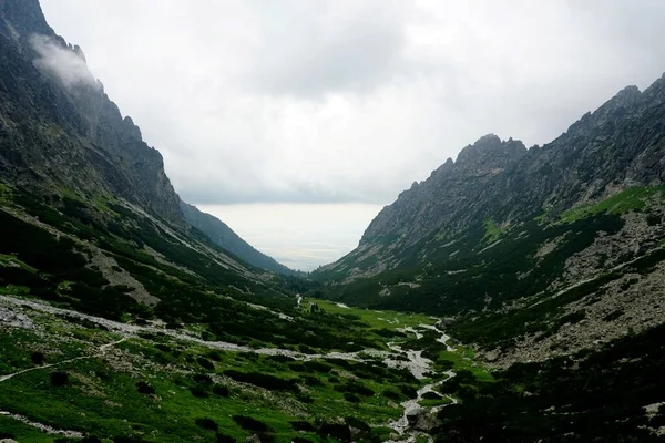 Alto Tatra Montañas Paisajes Bosques Árboles Rocas Plantas Hora Verano — Foto de Stock