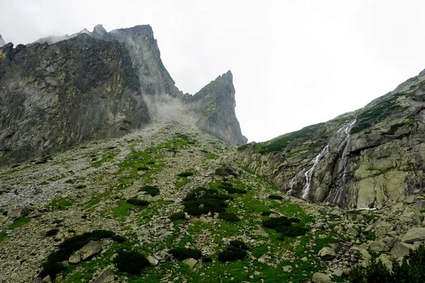 Ψηλά Βουνά Tatra Τοπία Δάση Δέντρα Βράχους Και Φυτά Θερινή — Φωτογραφία Αρχείου