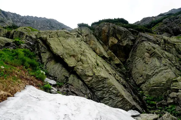 Altas Montanhas Tatra Paisagens Florestas Árvores Rochas Plantas Hora Verão — Fotografia de Stock