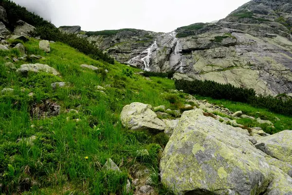 Altas Montanhas Tatra Paisagens Florestas Árvores Rochas Plantas Hora Verão — Fotografia de Stock