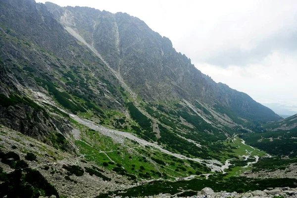 Високі Татранські Гори Пейзажі Ліси Дерева Скелі Рослини Літній Час — стокове фото