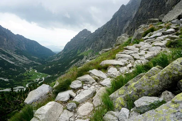 Höga Tatrabergen Landskap Skogar Träd Klippor Och Växter Sommartid — Stockfoto