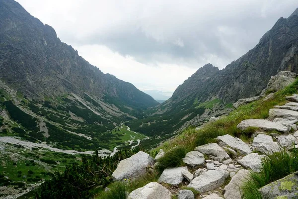 Yüksek Tatra Dağları Manzaraları Ormanlar Ağaçlar Kayalar Bitkiler Yaz Zamanı — Stok fotoğraf